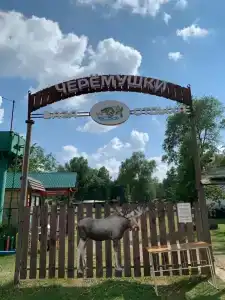 Черемушки - 0