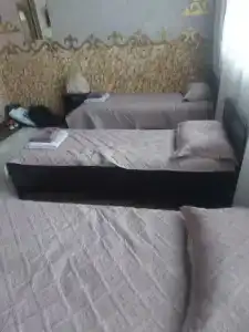 Инсар - 26