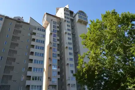 Евродачка - 11