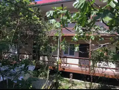 Летний Сад - 3