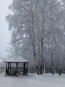Волга - 25