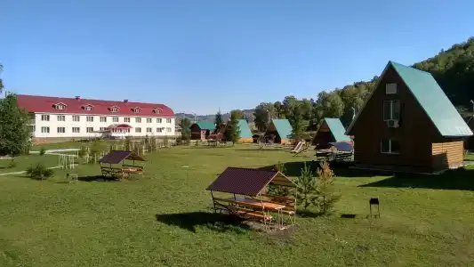Лесная сказка - 0