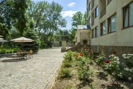 Мечта Тея - 95