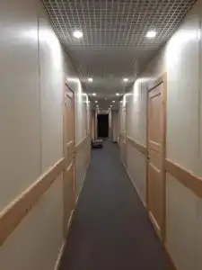Зеленый бор - 8