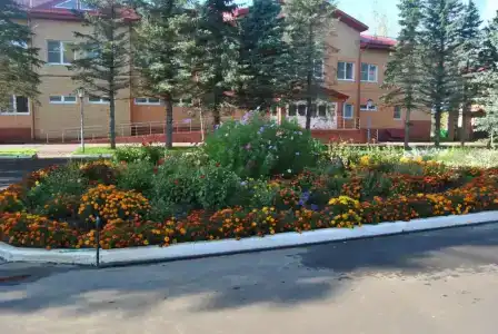 Федосьино - 0
