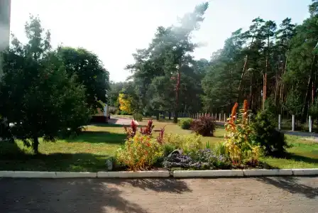 Лесная жемчужина - 1