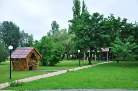 Славянка - 19