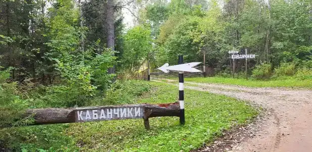 Кабанчики - 7