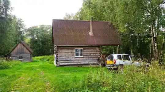 Кабанчики - 1