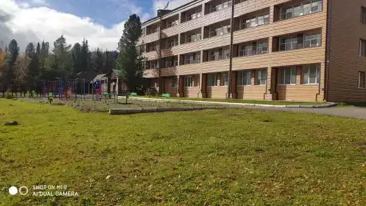 Кедр - 7