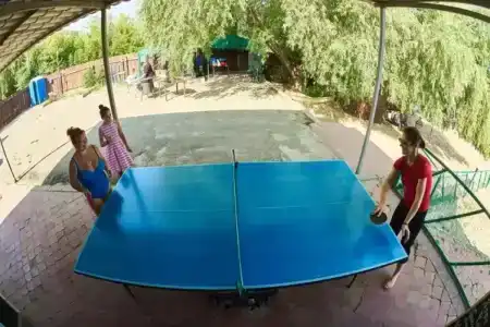 Альбатрос - 13