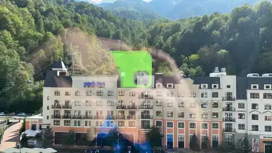 Голден Тюлип - 57