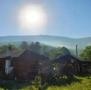 Дикий аист - 36