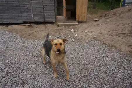 Усадьба на Шамокше - 23