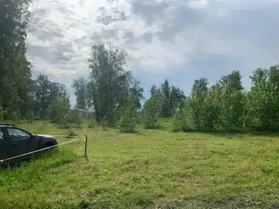 Берёзовый край - 7