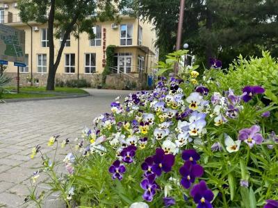 Творческая волна - 44