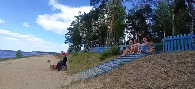 Чайка - 44