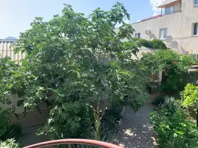 Амир-Дани - 13