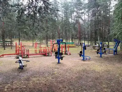 Аврора - 46