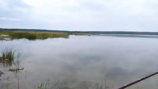 Рассвет - 6