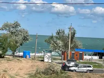 Stella di mare - 13