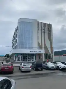 Звезда моря - 1