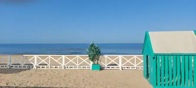 Весна - 25