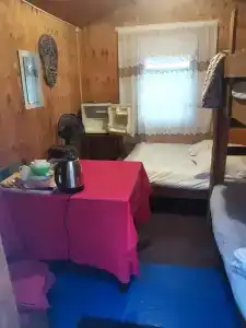 Золотари 5+ - 29
