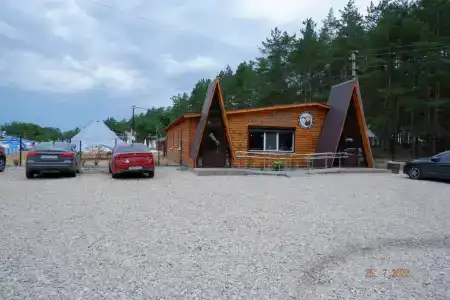 Стрежень - 29