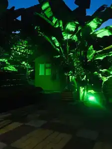 у Левы - 2