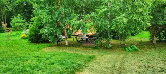 Багульник - 2