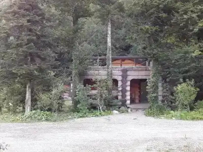 Цица - 32