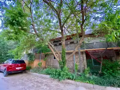 Рапана - 0
