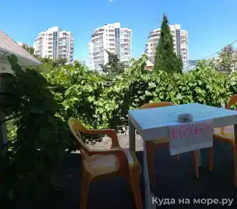 Аир - 8