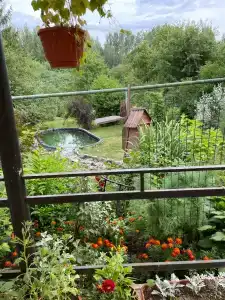 Маришкин дом - 11