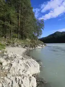 Белые Росы - 6