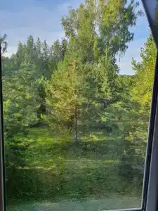 Дикарка - 24