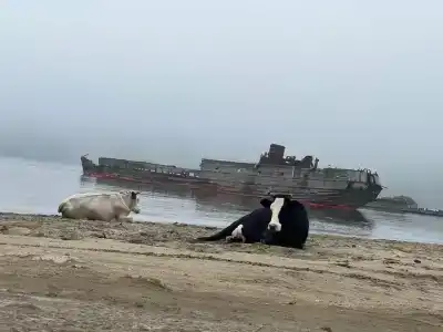 Морской бриз - 34