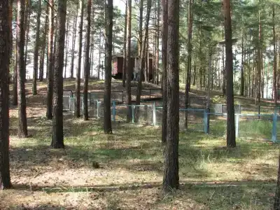 Кристалл - 21
