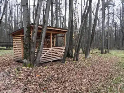 Приокские Зори - 81