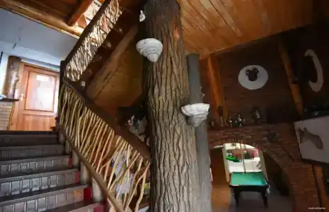 Панский сад - 39