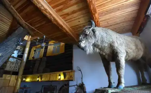 Панский сад - 36