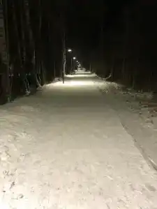 Мичуринский Дворик - 20