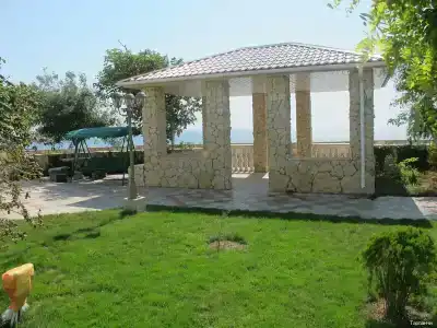 Тарпанчи - 20