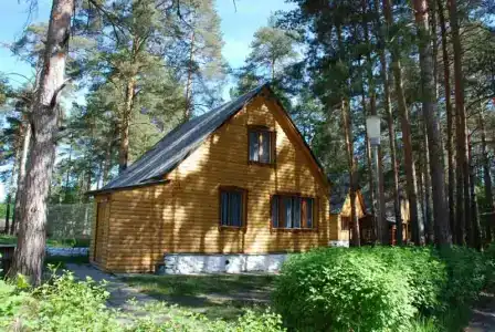 Улыбышево - 80