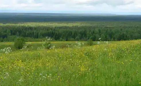 Серёгово - 2