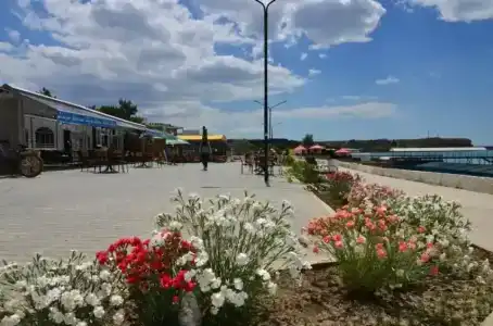 Золотой лев - 52