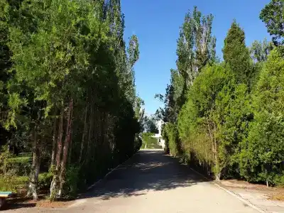 Пансионат Радость - 9