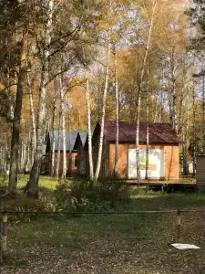 ЛесНица - 23