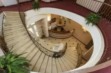 Дельфин - 0